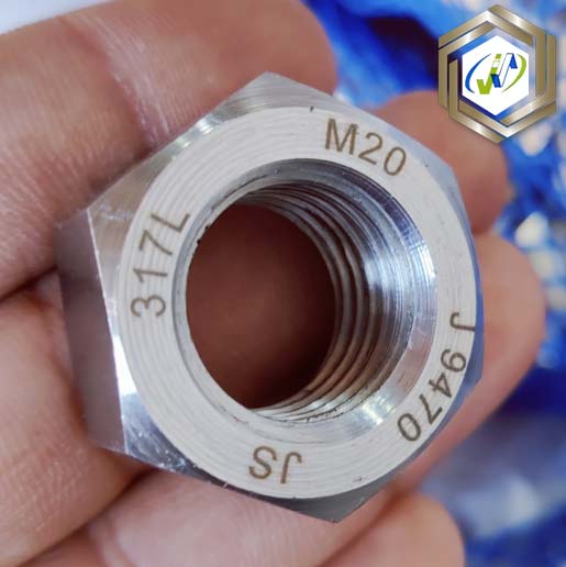 Stainless Steel 317L Hex Nut