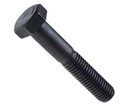 8.8 Lag Bolt