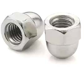 Finish Cap Nuts
