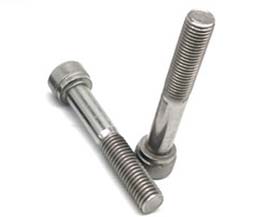 Stainless Steel Allen Bolts