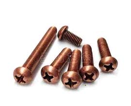 Beryllium Copper Pan Head Screws