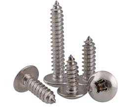 316 Stainless Steel Drywall Anchors