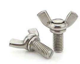 Stainless Steel Lifting Eye Bolt