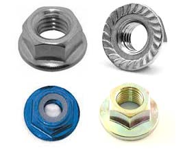 SS Flange Nuts