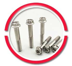 Grade 5 Titanium Bolts