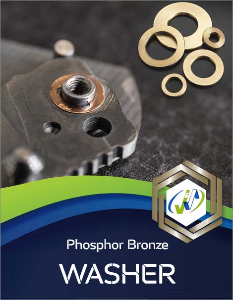 Phosphor Bronze Washers