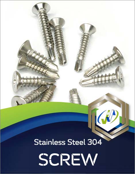 SS 304 Screw