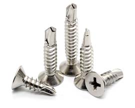 SS 304 Screw