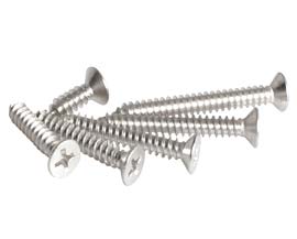 SS 316L Screw