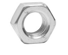 SS 316L Nuts