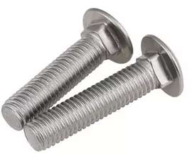 6mm Stainless Steel Coach Bolts