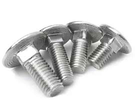 Black Stainless Steel Carriage Bolts