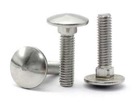 Stainless Steel Carriage Bolts