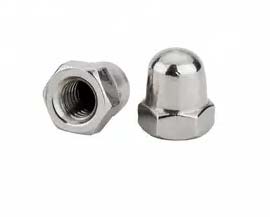 Stainless Steel Dome Nuts