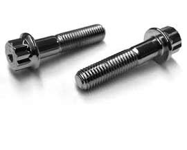 Stainless Steel Flange Bolt