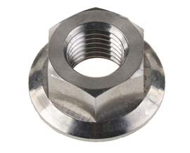 Hex Flange Nut