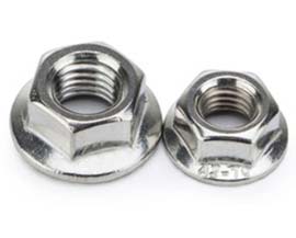 Stainless Flange Nut