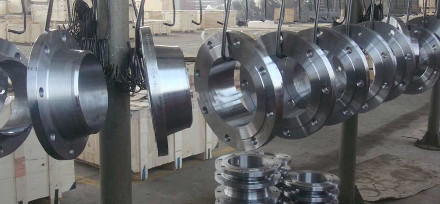 Stainless Steel Flanges