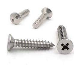 Stainless Steel Screw