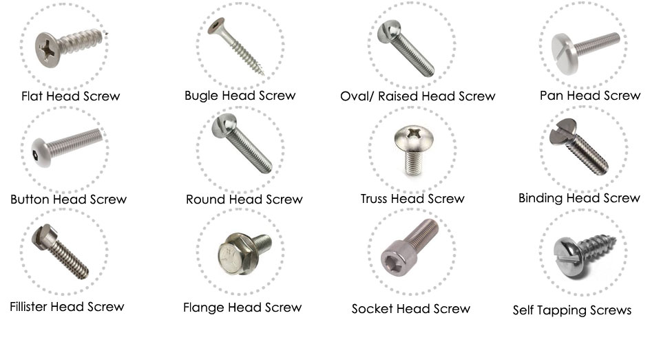 Stainless Steel Screw Head Types