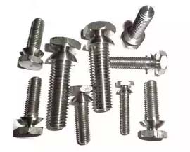 Stainless Steel Security Bolts and Nuts