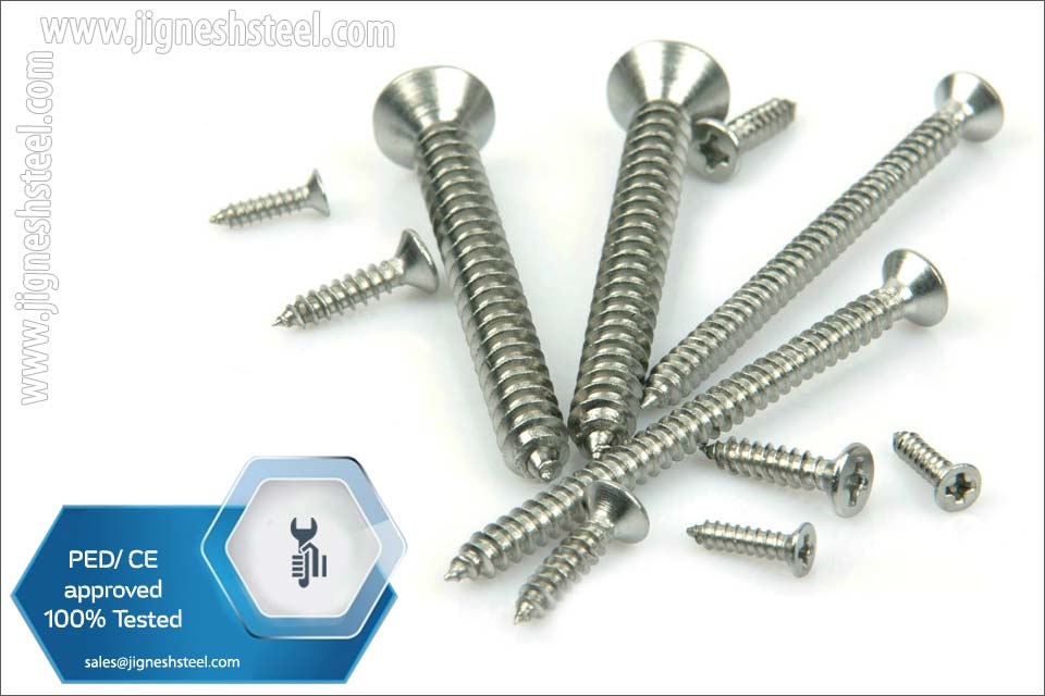 Stainless Steel Self Tapping Screw