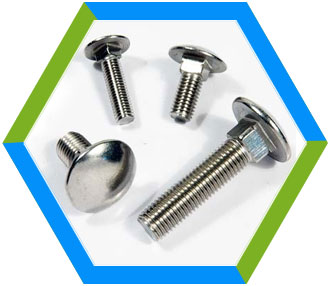 Stainless Steel Carriage Bolts