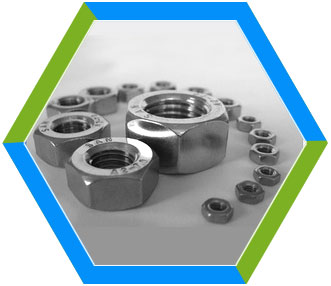 Hex machine screw nuts