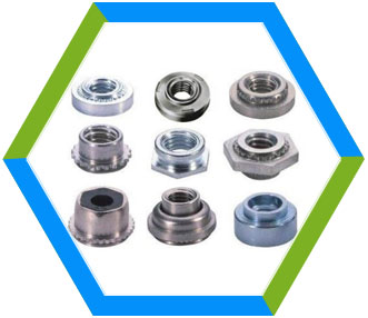 Poly Nut