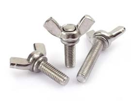 Ti Alloy Wing Screw